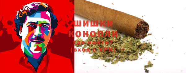 ПСИЛОЦИБИНОВЫЕ ГРИБЫ Алзамай