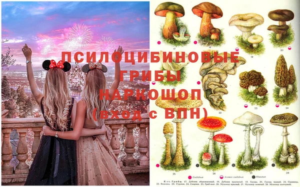 ПСИЛОЦИБИНОВЫЕ ГРИБЫ Алзамай