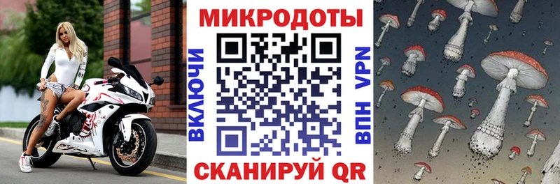 Галлюциногенные грибы Magic Shrooms Георгиевск