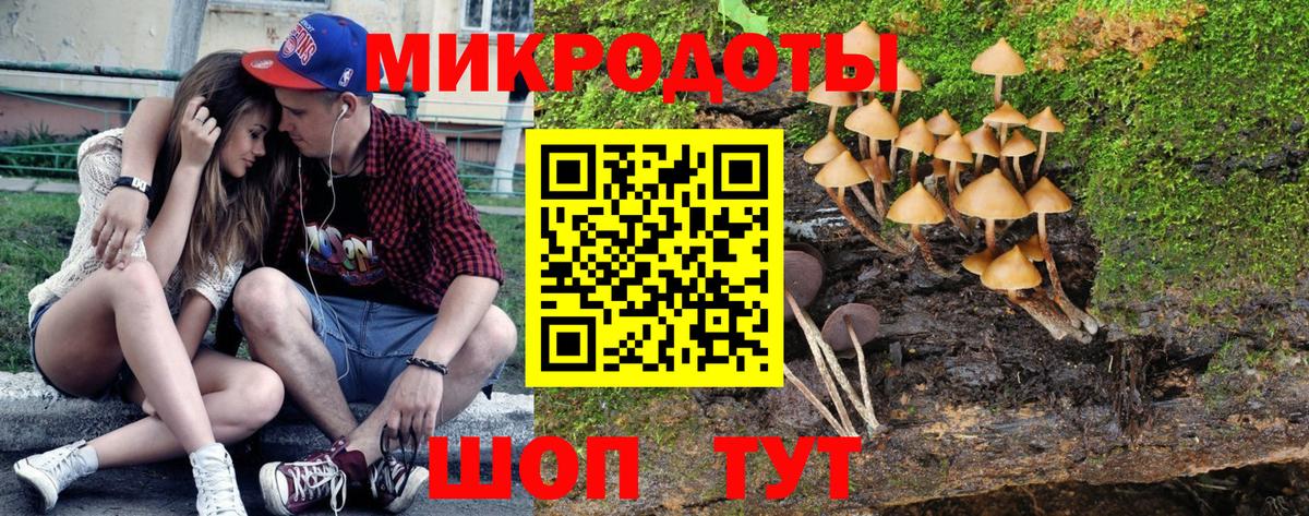 Псилоцибиновые грибы ЛСД Георгиевск