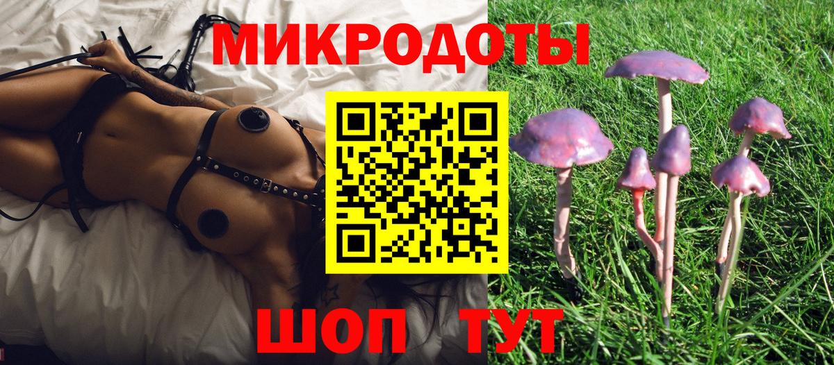 Псилоцибиновые грибы GOLDEN TEACHER  Вход с VPN  Георгиевск  Галлюциногенные грибы Psilocybine cubensis 